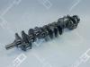 OE GERMANY 030300100000 Replacement part
