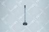 OE GERMANY 030520D12002 Replacement part
