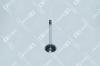 OE GERMANY 040520101200 Replacement part