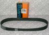 DAYCO 8PK800HD V-Ribbed Belts