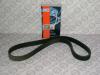 QUINTON HAZELL QBR6900 V-Ribbed Belts