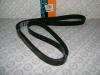 DAYCO 8PK2130HD V-Ribbed Belts