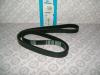 DAYCO 6PK1600 V-Ribbed Belts