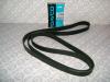 DAYCO 7PK2250 V-Ribbed Belts