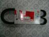 ASAM 30691 V-Ribbed Belts