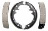 RAYBESTOS 31PG Brake Shoe Set