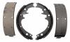 RAYBESTOS 481PG Replacement part