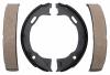 RAYBESTOS 701PG Brake Shoe Set, parking brake