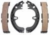 RAYBESTOS 750PG Brake Shoe Set