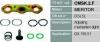 TRUCKTECHNIC CMSK.2.F (CMSK2F) Replacement part