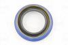 AMD AMD.SG189 (AMDSG189) Replacement part