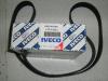 IVECO 500341808 V-Ribbed Belts