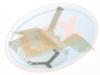 LEX BO-3656 (BO3656) Replacement part