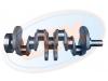 LEX BP-5238 (BP5238) Replacement part