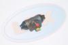 LEX CC-3458 (CC3458) Replacement part