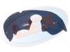 LEX PK-5264 (PK5264) Replacement part