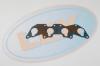 LEX PR-5710 (PR5710) Replacement part