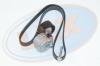LEX RK-2242 (RK2242) Replacement part