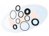 LEX RR-3648 (RR3648) Replacement part