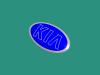 HYUNDAI / KIA (MOBIS) 863303T000 Replacement part
