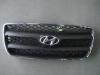 HYUNDAI / KIA (MOBIS) 865602B010 Radiator Grille