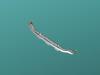 HYUNDAI / KIA (MOBIS) 865702P000 Spoiler