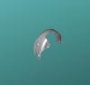 HYUNDAI / KIA (MOBIS) 868221H000 Panelling, mudguard