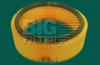 BIG FILTER GB9113 Replacement part