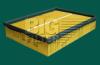 BIG FILTER GB9555 Air Filter