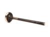 FORD 1369831 Exhaust Valve