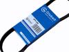 HANSE 6PK698 Replacement part