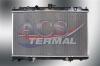 TERMAL 252901R Replacement part