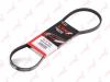 LYNXauto 3PK0800 V-Ribbed Belts