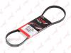 LYNXauto 3PK0808 V-Ribbed Belts