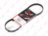 LYNXauto 4PK0773 V-Ribbed Belts