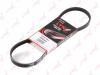 LYNXauto 4PK0803 V-Ribbed Belts