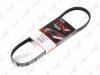 LYNXauto 4PK0813 V-Ribbed Belts