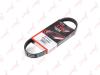 LYNXauto 5PK0580 V-Ribbed Belts