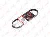 LYNXauto 5PK0683 V-Ribbed Belts