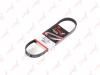 LYNXauto 5PK0700 V-Ribbed Belts
