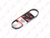 LYNXauto 5PK0705EL V-Ribbed Belts