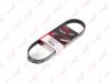 LYNXauto 5PK0718 V-Ribbed Belts