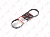 LYNXauto 5PK0810 V-Ribbed Belts