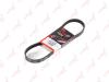 LYNXauto 5PK0828 V-Ribbed Belts