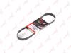LYNXauto 5PK0868EL V-Ribbed Belts