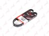 LYNXauto 5PK1090 V-Ribbed Belts