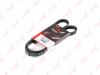 LYNXauto 5PK1220 V-Ribbed Belts