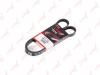 LYNXauto 5PK1240 V-Ribbed Belts