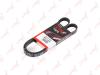 LYNXauto 5PK1243 V-Ribbed Belts
