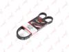 LYNXauto 5PK1255 V-Ribbed Belts